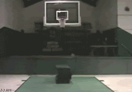 천조국 사람들한테 공을 주면 생기는일 | 인스티즈