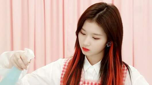 존사나 사북이 사무늘보 사나 | 인스티즈