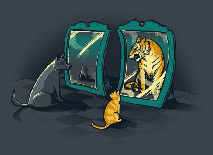 고양이와 강아지가 생각하는 자기의 모습 | 인스티즈