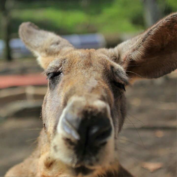 사진 못 찍는 애들이 찍은 사진들 특징 | 인스티즈