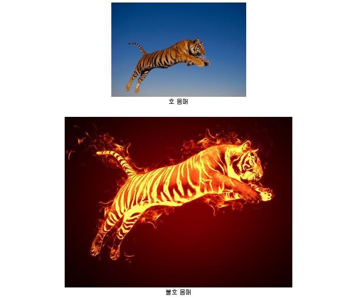 호불호 몸매 | 인스티즈