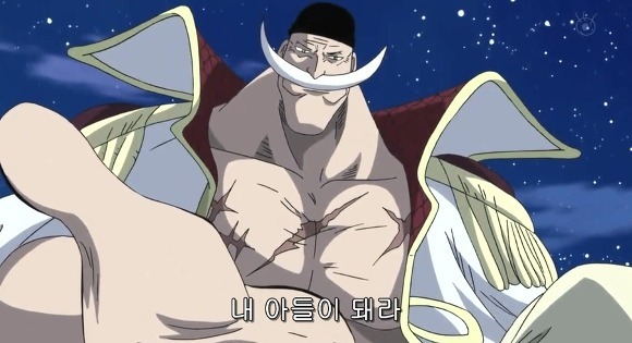 에이스의 기묘한 항해 | 인스티즈