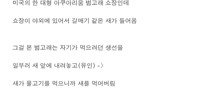 범고래의 지능 gif | 인스티즈