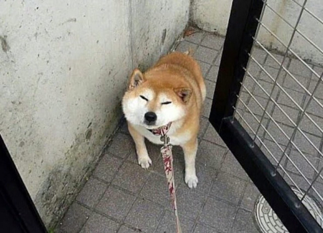 안 가 안 간다고.jpg | 인스티즈