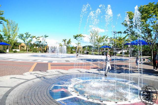 어느 지방 도시의 도심속 녹지.jpg | 인스티즈