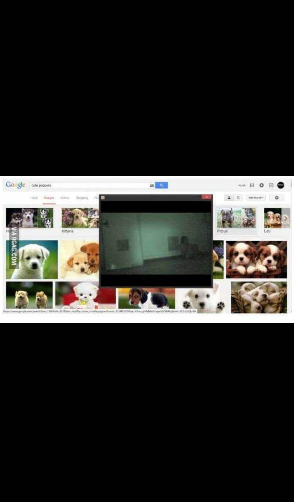 겁쟁이가 공포영화를 보는방법 | 인스티즈