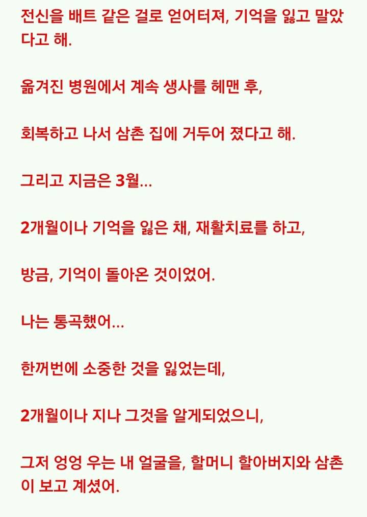 가족이 한 기이한 행동의 진짜 의미 | 인스티즈