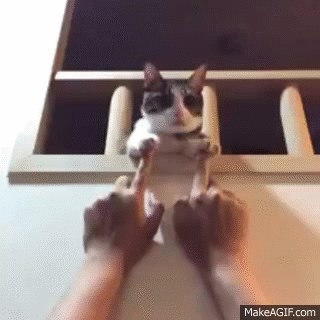 주인님 하고 하는 쎄쎄쎄 | 인스티즈