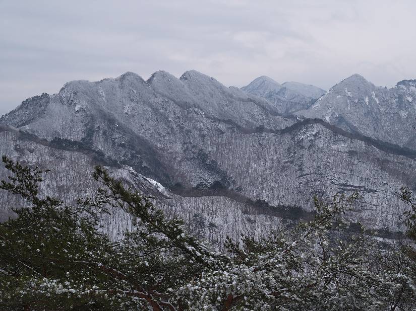 임진왜란때 천혜의 요새를 버리고 배수진을 친 장수 | 인스티즈