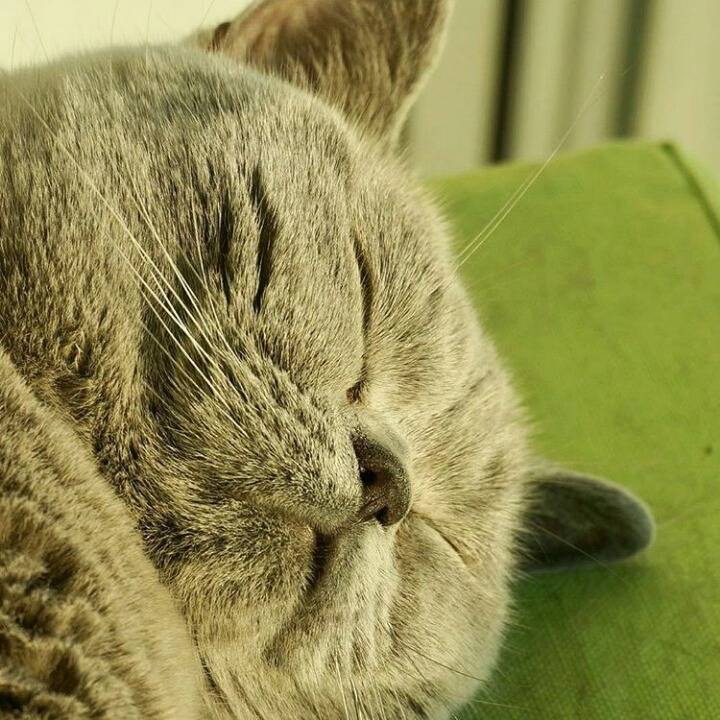 거대한 먼지덩어리들 | 인스티즈