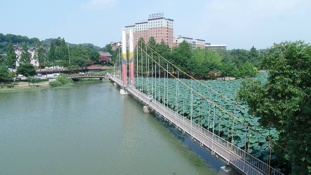 데이트 코스로 유명한 전주 덕진공원 예쁜 연꽃 풍경 | 인스티즈