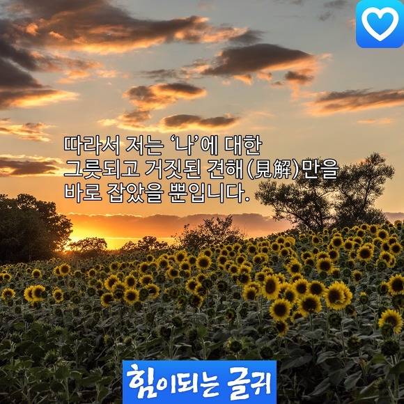 [좋은글] 통찰! 윤회에 대해 | 인스티즈