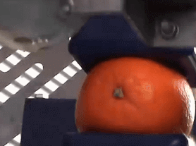 오렌지 까는 기계.gif | 인스티즈