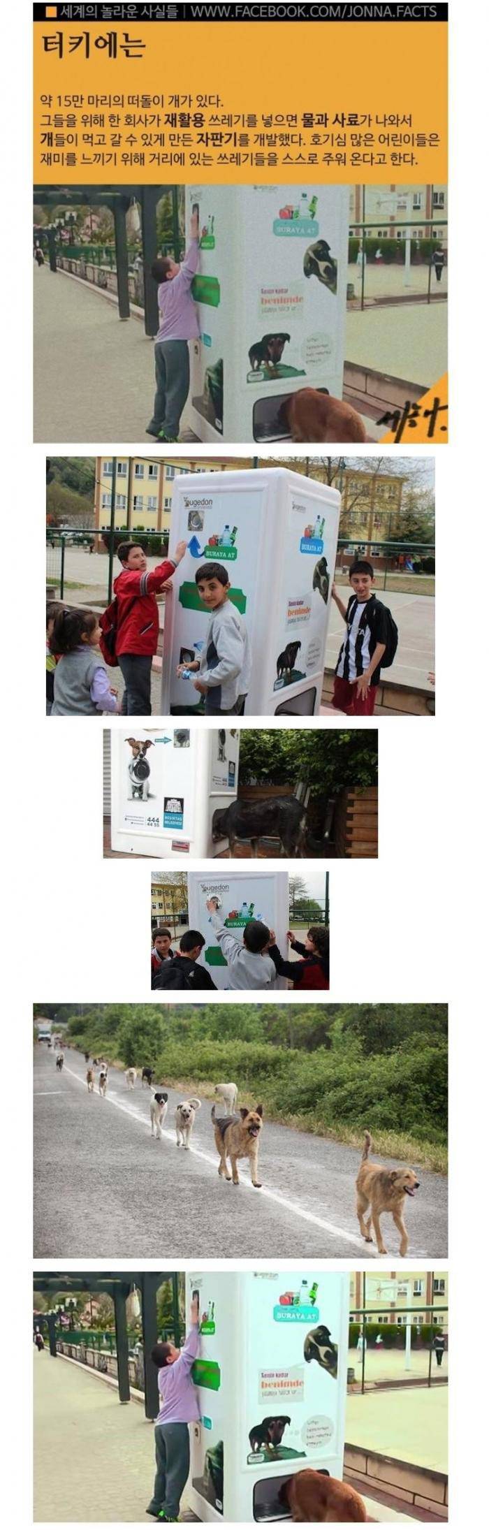 우리나라에선 불가능한 터키 자판기 | 인스티즈