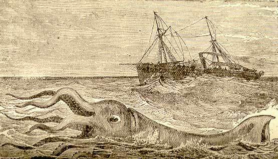 현실에 존재하는 신기한 생명체들.jpg | 인스티즈