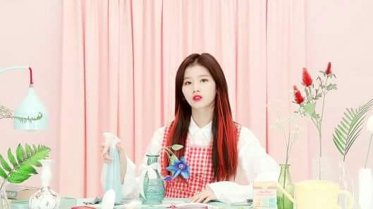 존사나 사북이 사무늘보 사나 | 인스티즈