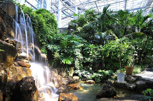 어느 지방 도시의 도심속 녹지.jpg | 인스티즈