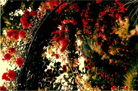 누군가를 좋아하면 시간은 둘로 나뉜다 | 인스티즈