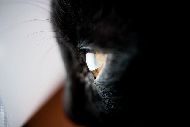 투명한 유리구슬처럼 보이지만~ | 인스티즈