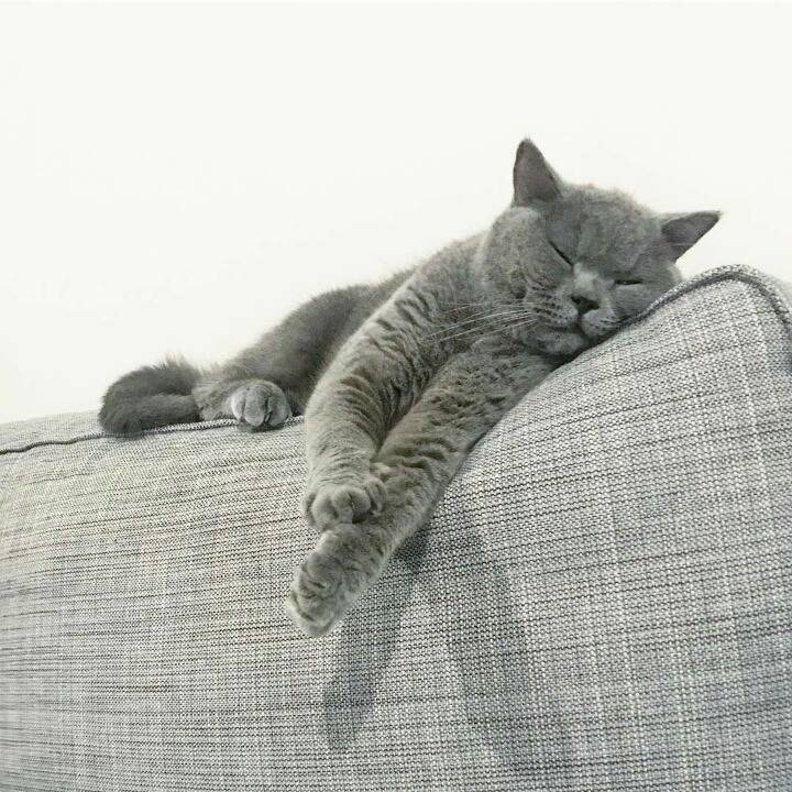 거대한 먼지덩어리들 | 인스티즈