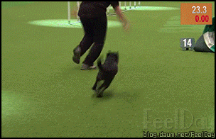 아 이를 어째 ㅜㅜ 급똥; | 인스티즈