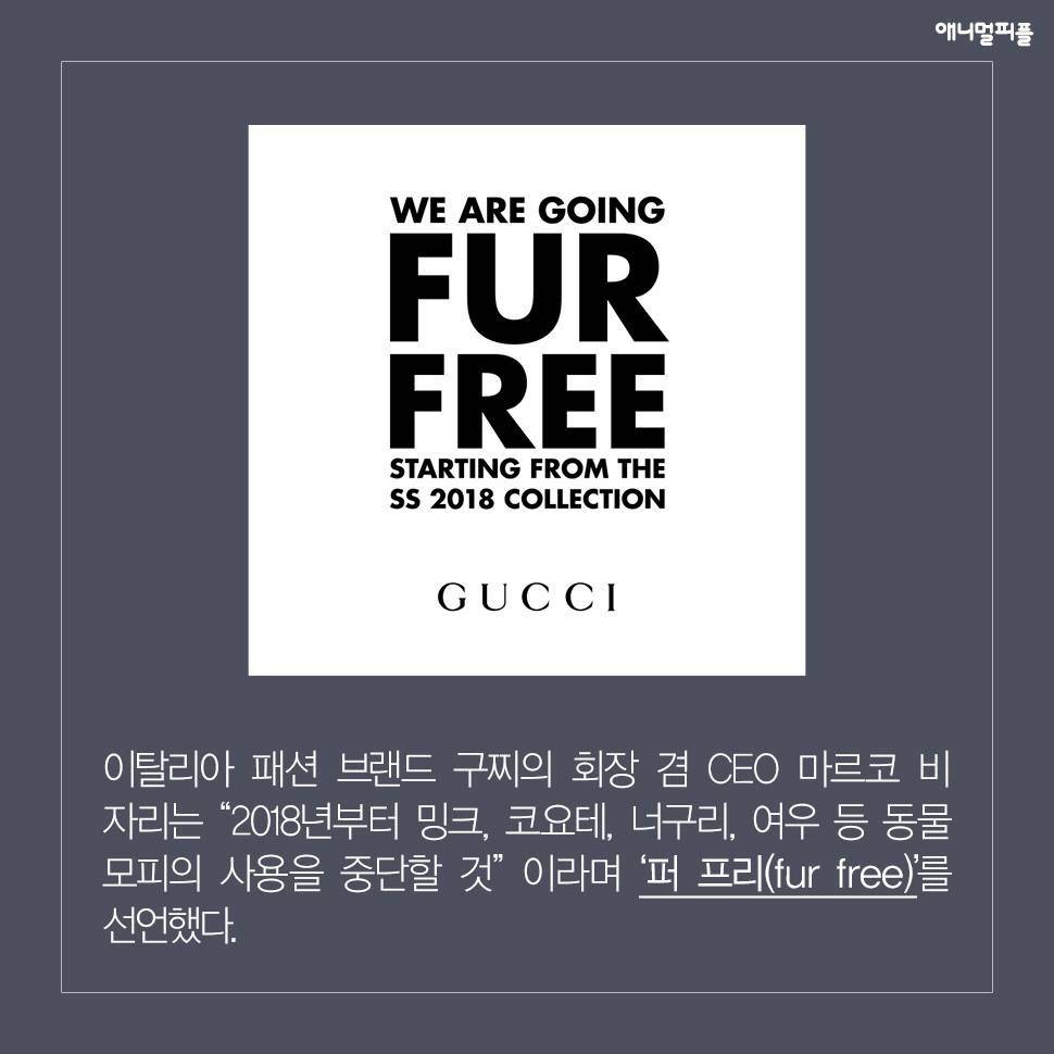 ??? : 아니 ㅅㅂ 말 못하는 강아지를 왜 때려...무슨 죄가 있다고... | 인스티즈