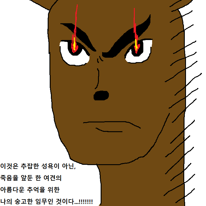 댕댕이의 운수좋은날.jpg | 인스티즈