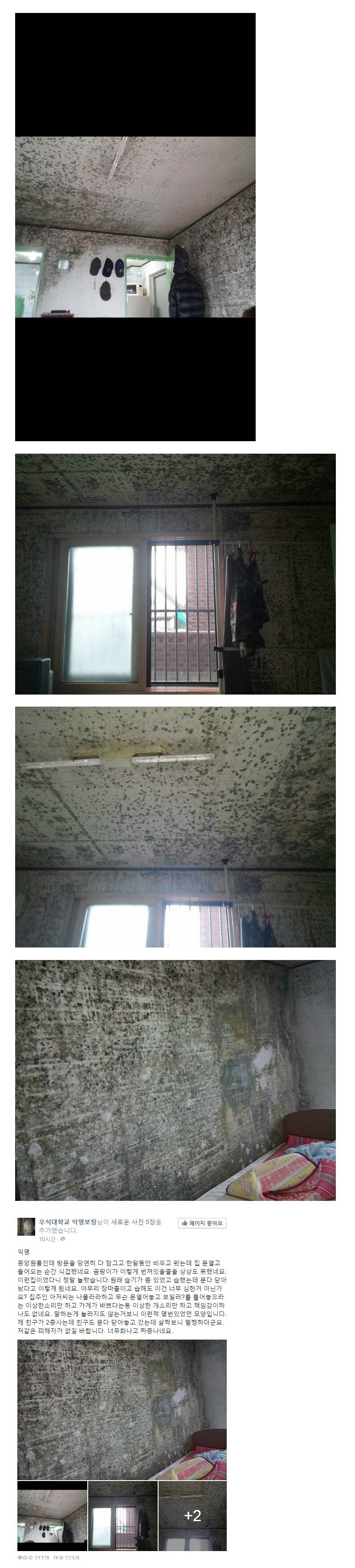 원룸자취할때 반지하를 피해야하는 이유 | 인스티즈