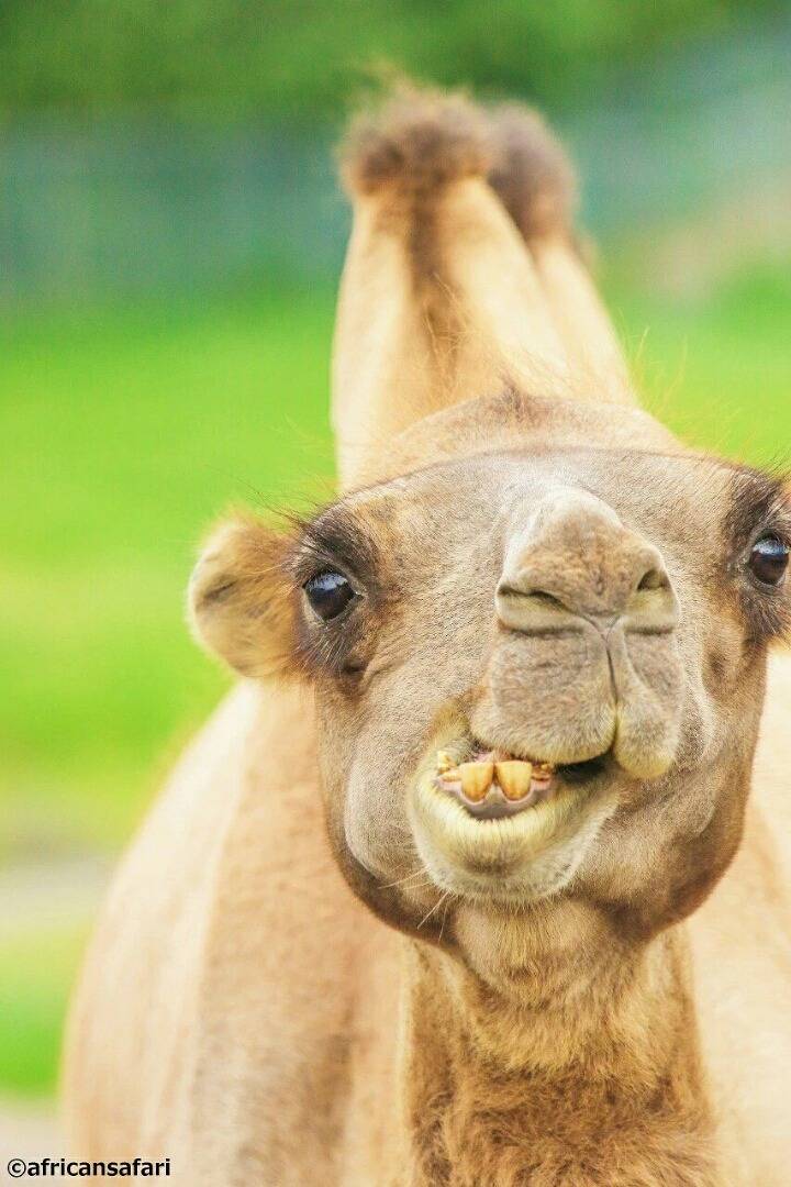 사진 못 찍는 애들이 찍은 사진들 특징 | 인스티즈