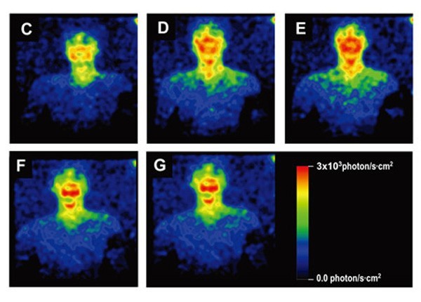 빛의 신비한 사실들 1부.JPG | 인스티즈