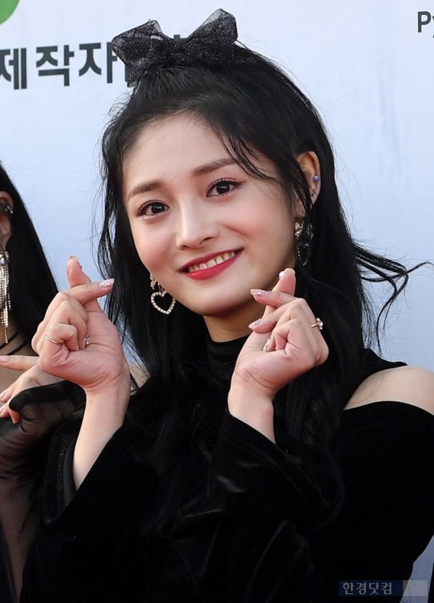 2017 드림콘서트 평창 프리스틴 레드카펫 | 인스티즈