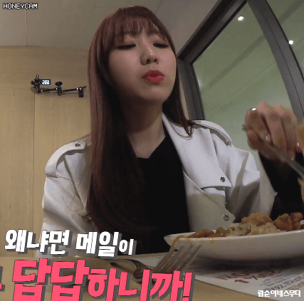 [러블리즈] 러블리즈가 콘서트를 한다고해서 수정이 | 인스티즈