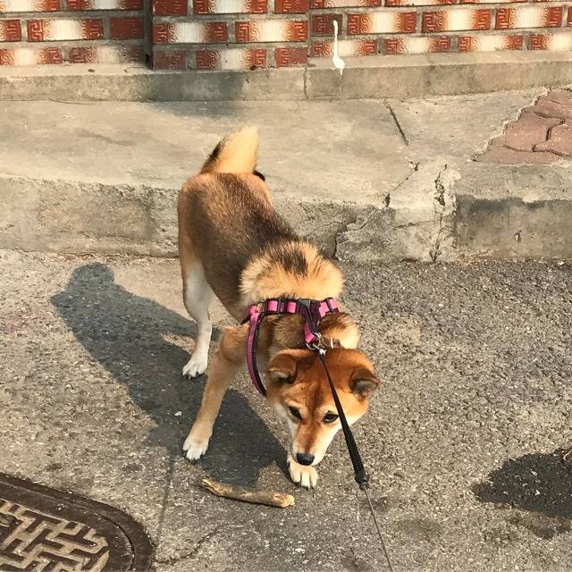 안 가 안 간다고.jpg | 인스티즈