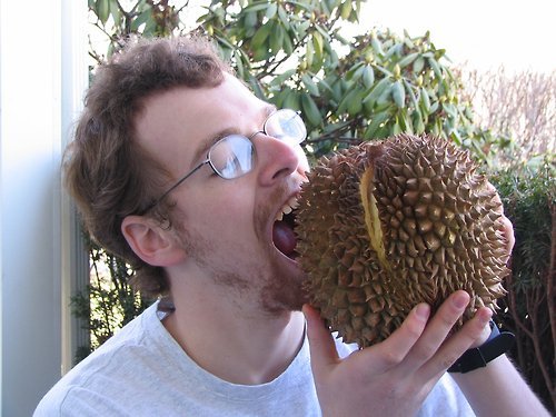  과일의 왕이라고 불리는 과일.jpg | 인스티즈