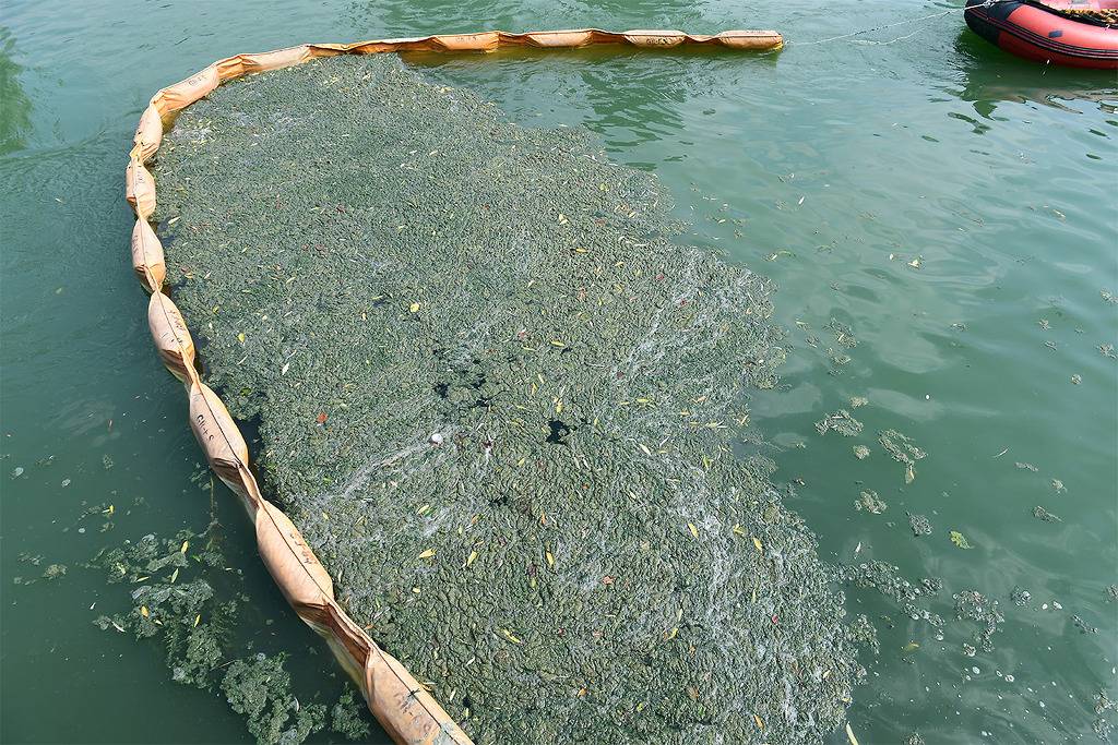 오늘자 잠실석촌호수 상황 | 인스티즈