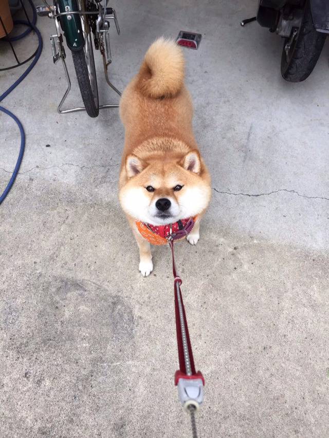 안 가 안 간다고.jpg | 인스티즈