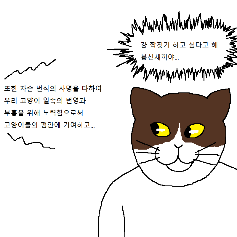 [만화] 수컷 고양이 세마리가 맞짱까는 만화 | 인스티즈