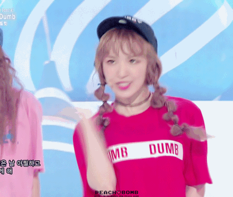 레드벨벳 완뭉이.jpgif | 인스티즈