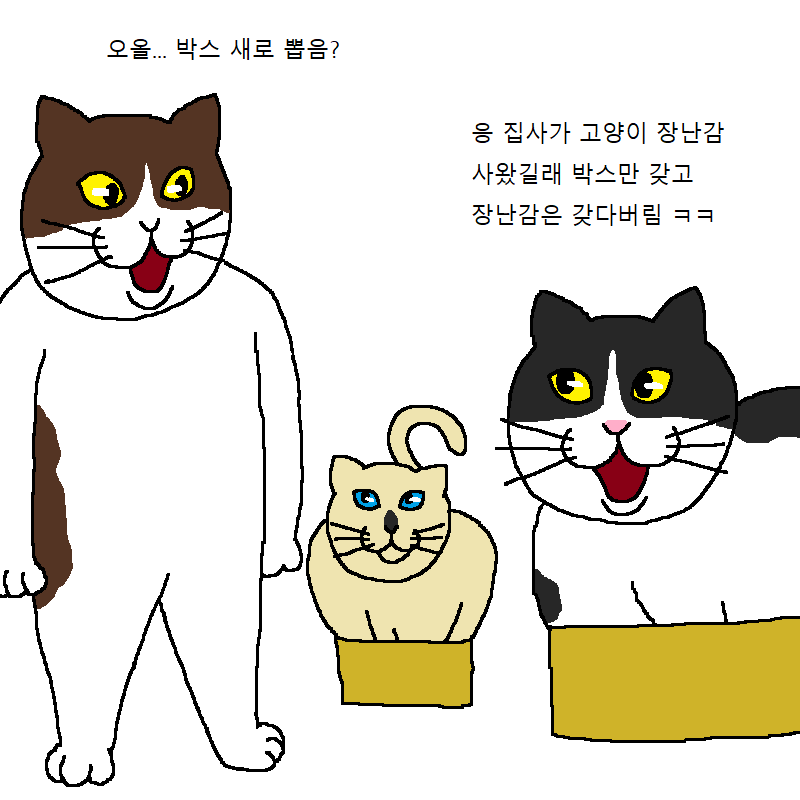 [만화] 수컷 고양이 세마리가 맞짱까는 만화 | 인스티즈