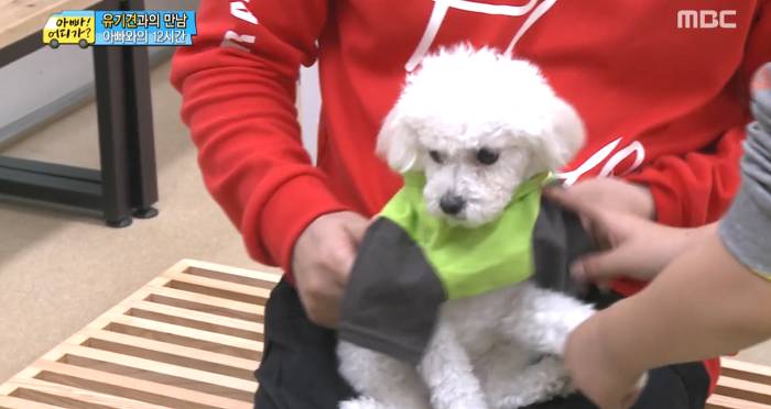 [아빠어디가] 유기견을 대하는 윤후의 태도 .jpg | 인스티즈