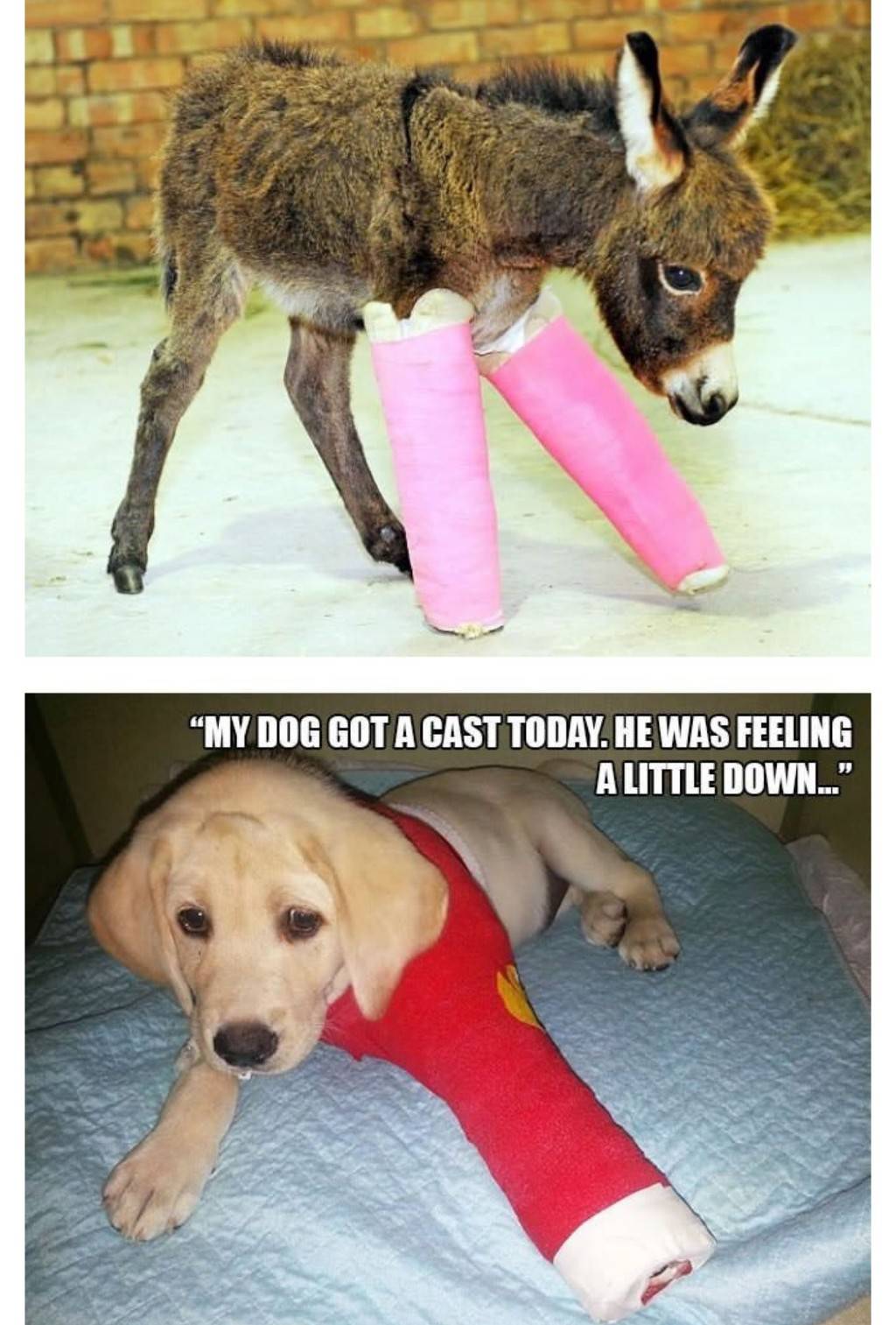 나 아야했쪄 | 인스티즈