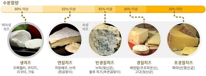 치즈 이야기 | 인스티즈
