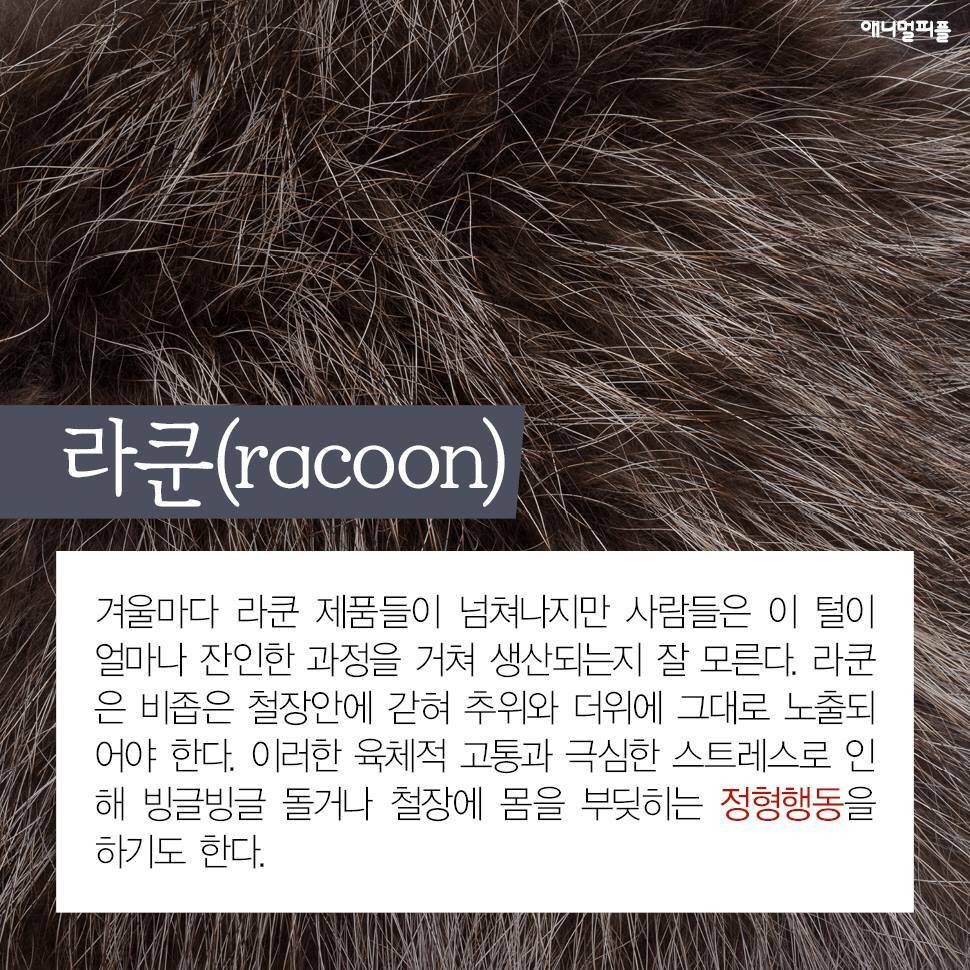 ??? : 아니 ㅅㅂ 말 못하는 강아지를 왜 때려...무슨 죄가 있다고... | 인스티즈