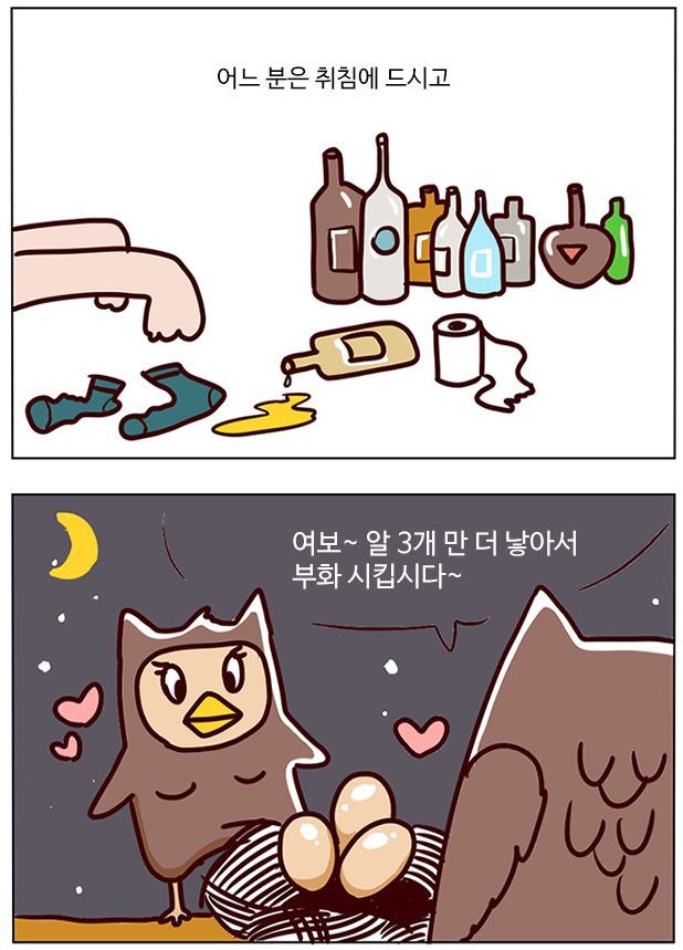 수리부엉이가 천연기념물인 이유 | 인스티즈