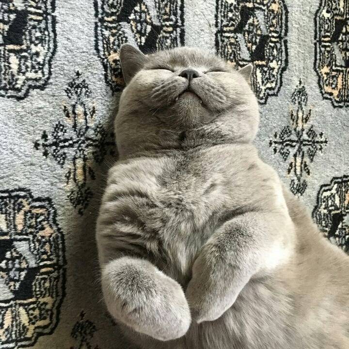 거대한 먼지덩어리들 | 인스티즈