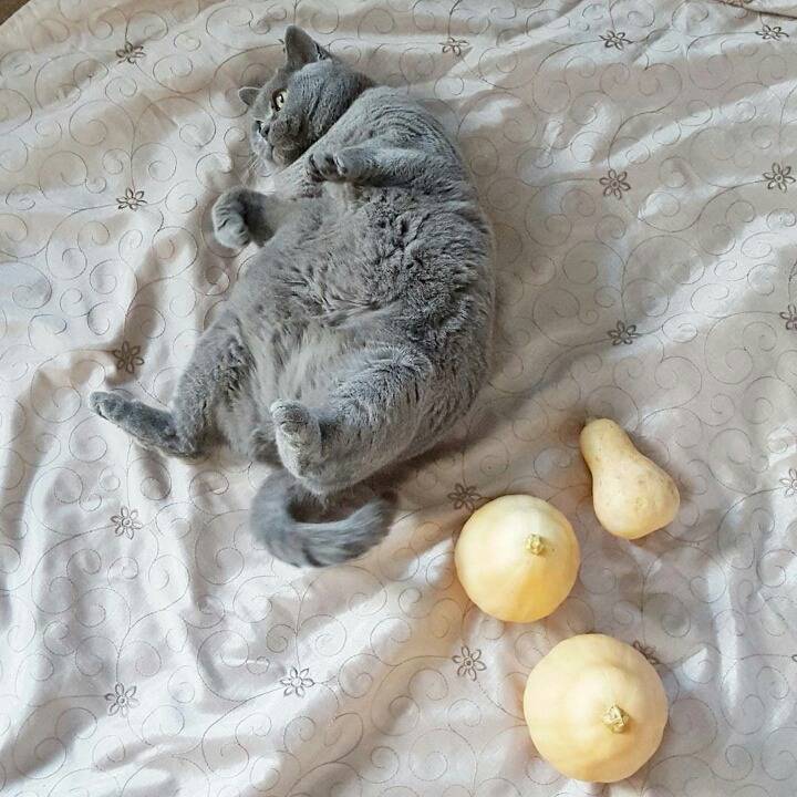 거대한 먼지덩어리들 | 인스티즈