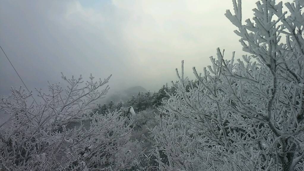 2017년 첫 눈 쌓인 산.jpg | 인스티즈