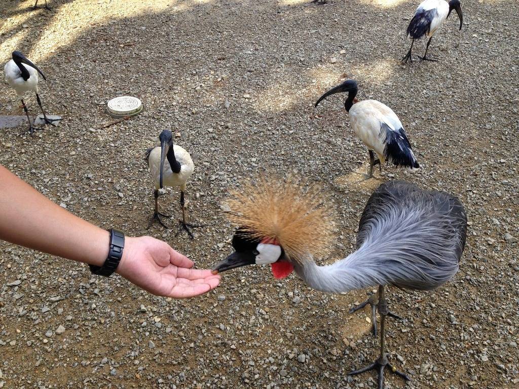 대학생 추천 여행지 오키나와 ㅎㄷㄷ | 인스티즈