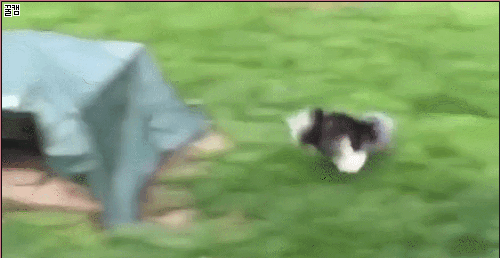 가정교육이 중요한 이유.gif | 인스티즈