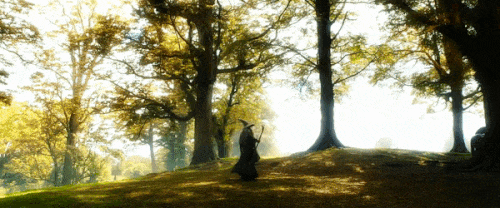 간달프 : 에이 아니겠지.... | 인스티즈